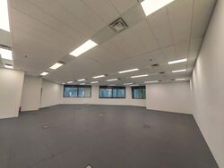 Robinson 77 (D1), Office #550255011
